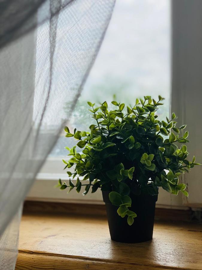 Cosy Apartment 리가 외부 사진